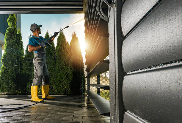 Best Rust Removal  in Meadow Glade, WA